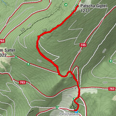 Naas, Steiermark/Österreich