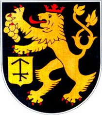 Logotipo Dorsheim