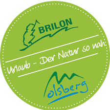 Logotipo Brilon & Olsberg