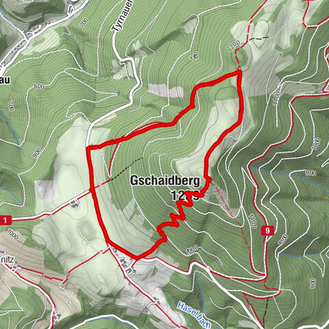 Fladnitz an der Teichalm, Steiermark/Österreich