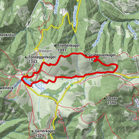 Fladnitz an der Teichalm, Steiermark/Österreich