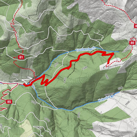 Zell am See, Salzburg/Österreich