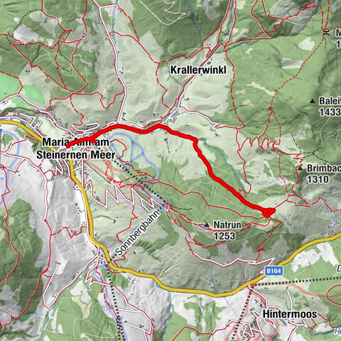 Maria Alm am Steinernen Meer, Salzburg/Österreich
