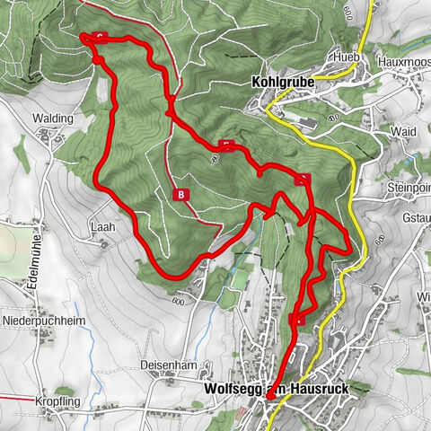 Wolfsegg am Hausruck, Oberösterreich/Österreich