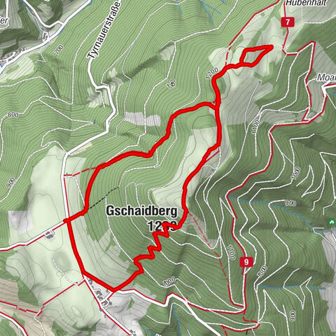 Fladnitz an der Teichalm, Steiermark/Österreich