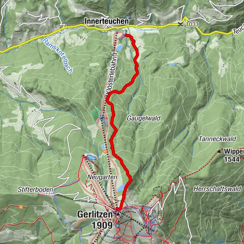 Gerlitzen Wald