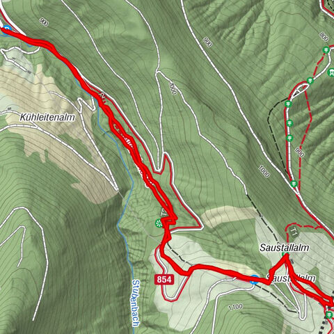OÖ Sausteigalm (Zwölferhorn)
