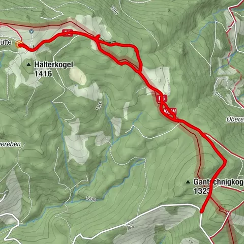 Preitenegg, Kärnten/Österreich