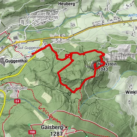 Koppl, Salzburg/Österreich