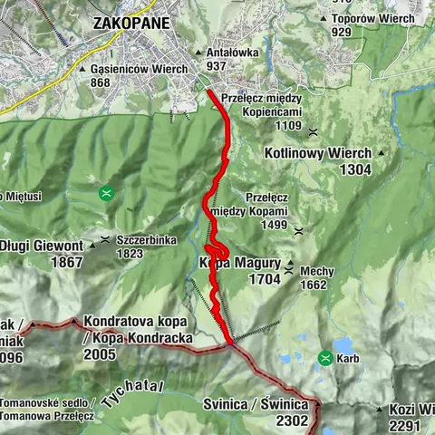 Zakopane, województwo małopolskie/Polska