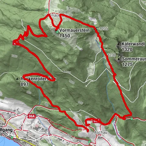 Vormauer Holzbauer
