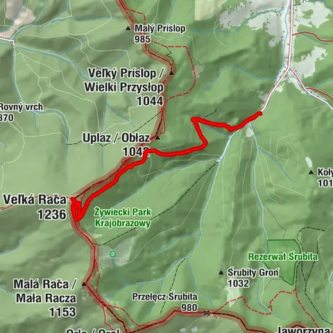 Rajcza Piesze wędrówki