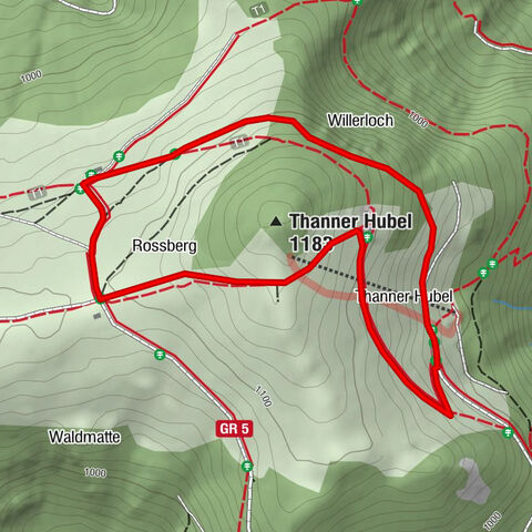 Paseo Granja-Posada Thannerhubel "Entre los alineamientos de piedras"