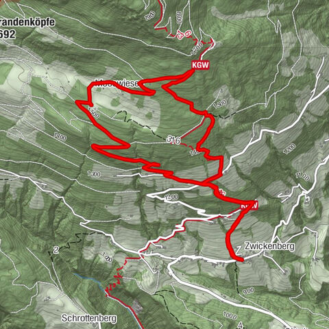 "Zwickenberg - Prados de musgo"