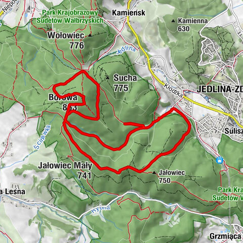 Na Borową z Jedliny