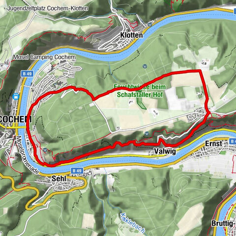 In der Moselschleife Cochem-Cond