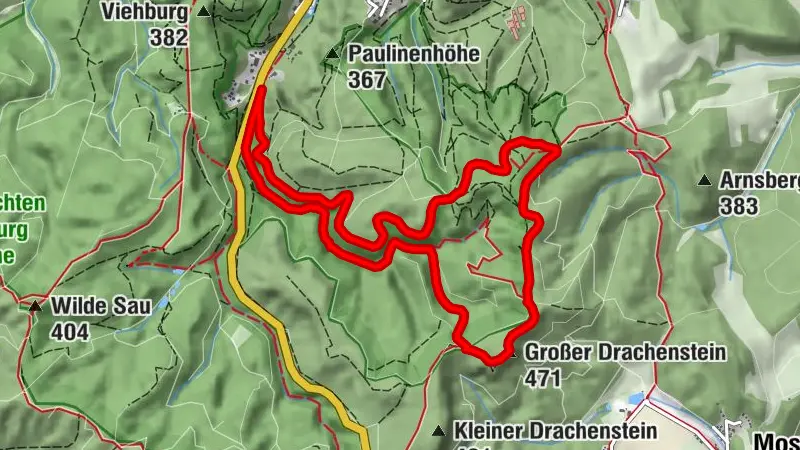 Sendero de bosque virgen Eisenach - Senderos de bosque virgen de Turingia