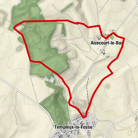 El Valle del Bosque de Cauchy