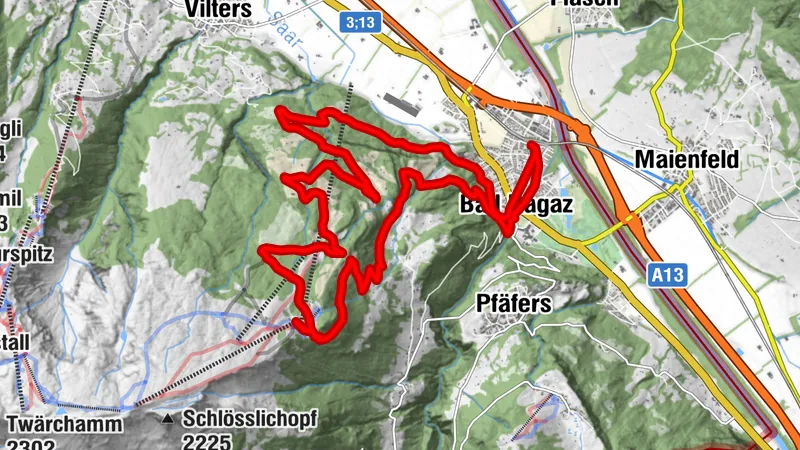 Pizol Pardiel Bike N° 474