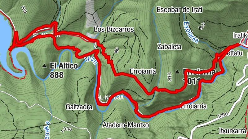 Navarra - Bosque de Zabaleta. Ochagavía. Casas de Irati