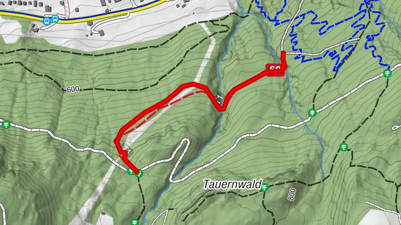 Matschy Trail - T69
