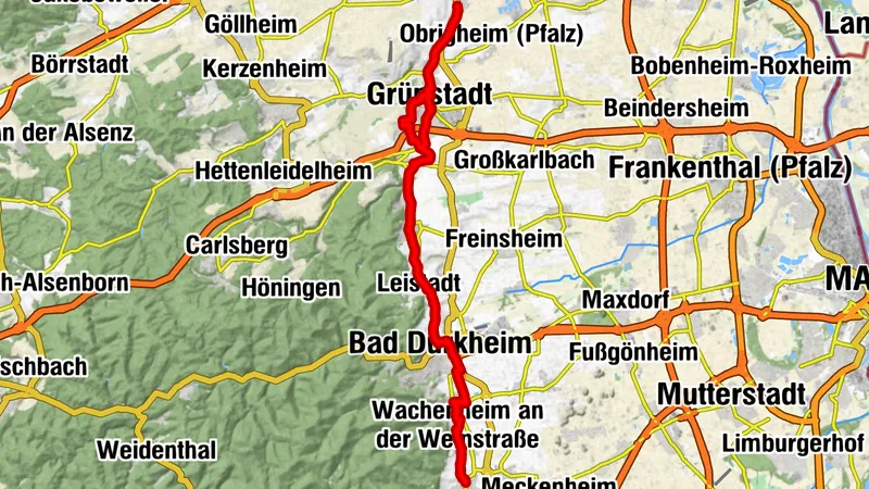 Ruta en bicicleta Ruta del Vino Alemana / Etapa 3 Deidesheim - Bad Dürkheim