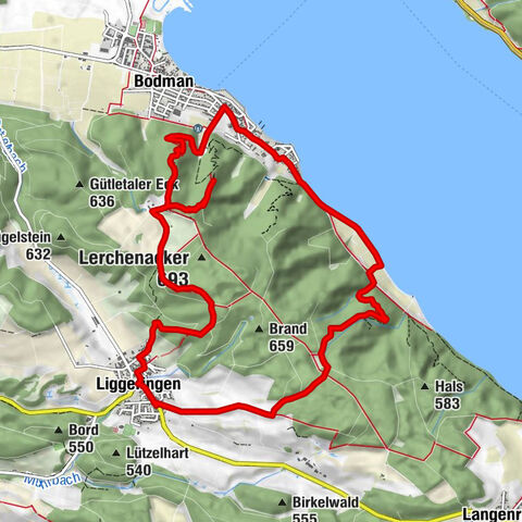 Rundwanderung Liggeringen - Bodman