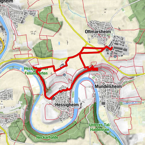 Neckarscleife -Hessigheimer Felsengärten Runde von Ottmarsheim