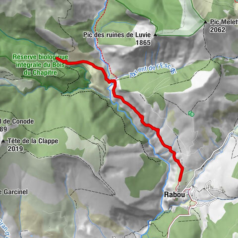 El camino de las prohibiciones