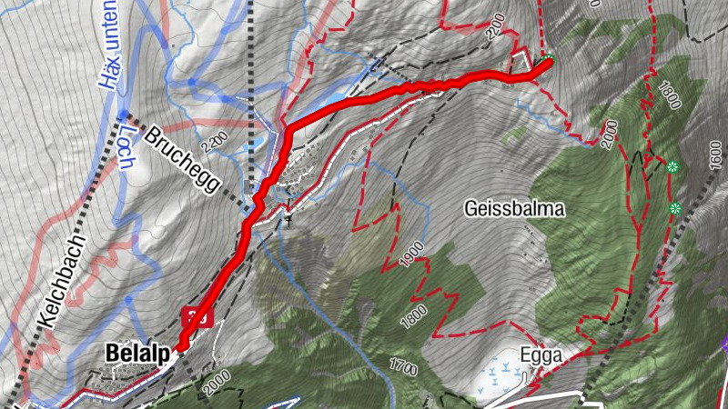SENDERISMO CON RAQUETAS LÜSGERSEE-TRAIL