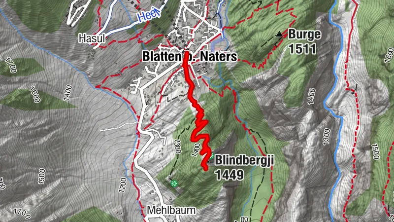 MIRADOR BLINDBÄRGJI