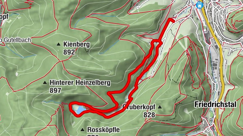 NW Tour 2 - Sankenbachsee in Baiersbronn