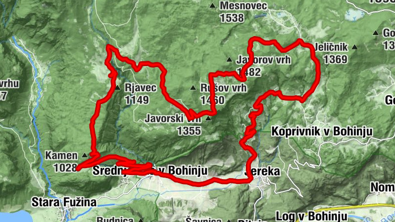 Von Bohinj auf die schönste Alm Sloweniens (Zajamniki Alm)