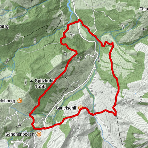 Sendero con raquetas de nieve Gantrischli