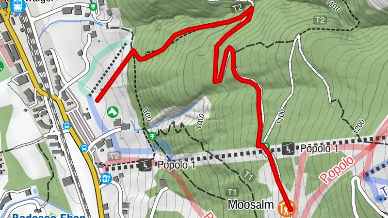 Caminata con raquetas de nieve Moosalm