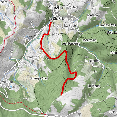 Courz'y Trail Park - Circuito nº5: La Subida Infernal