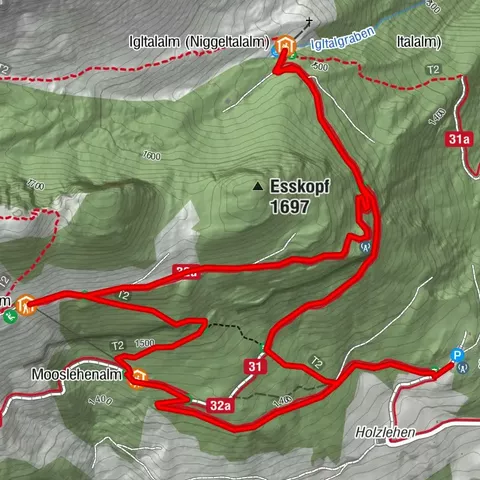 Großarl: Mooslehenalm – Niggeltalalm – Viehhausalm