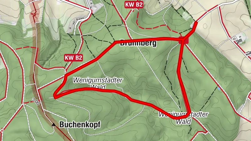 Circuito Geoparque: Camino Ameisenloch (amarillo 4)