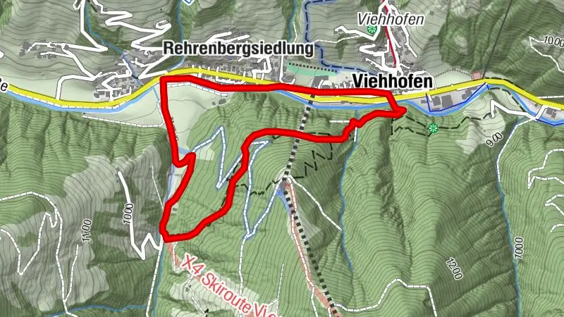 Experiencia de bosque y naturaleza