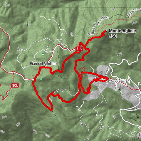 Cune - Monte Agliale - Pian del Vitellino