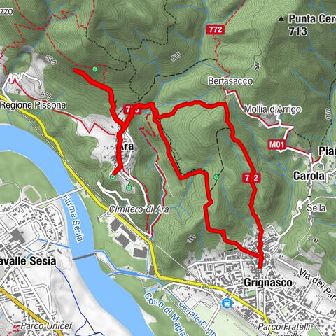 De Grignasco al risco de Ara