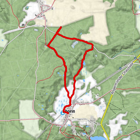 Chorin-Kloster-Kroneiche