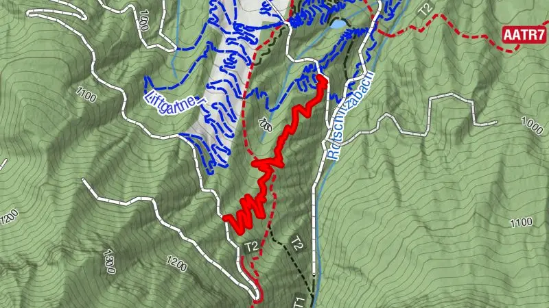 Ffargartner Trail - T19