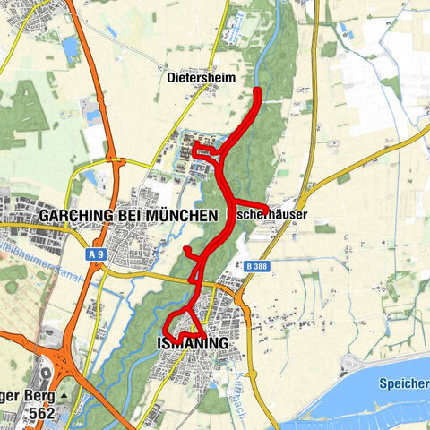Isarauen