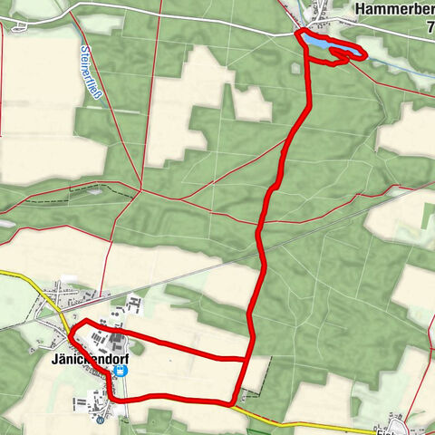 1/3 Marathon Distanz Naturlauf mit leichtem Crosslauf am Ende