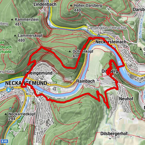 Neckarsteinach, 4-Burgen-Blick