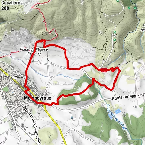 OENORANDO® DE CASTELBARRY - ENTRE VIÑEDOS Y OLIVARES