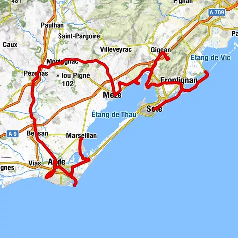 RUTA DE LOS VINOS DE THAU EN EL MEDITERRÁNEO