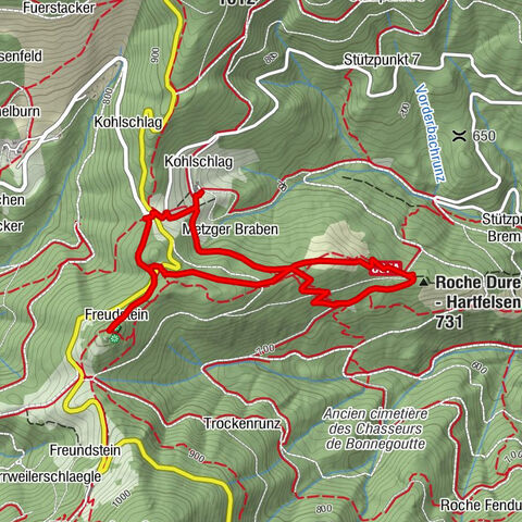 Walk Farm-Auberge Kohlschlag "Between castles and chapel"