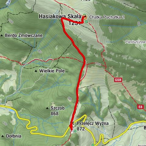 Przełęcz Wyżna - Chatka Puchatka 2 - Hasiakowa Skała
